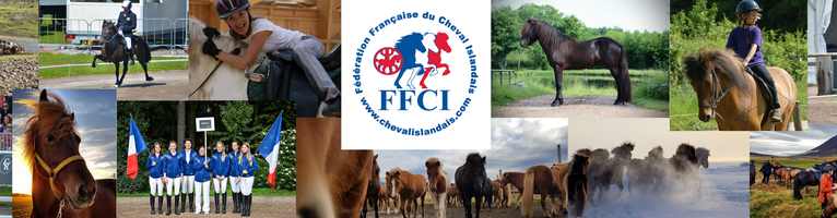 F D Ration Fran Aise Du Cheval Islandais Ffci Helloasso