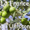 Logo of the association LA FRANCE A L'UNISSON