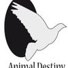 Logo of the association Animal Destiny