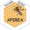 Logo of the association APIREA