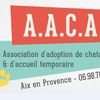 Logo of the association Association d'Adoption de Chatons et d'Accueil Temporaire