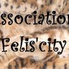 Logo of the association Association Felis'city