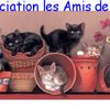 Logo of the association Association les Amis de Didie