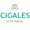 Logo of the association Association Régionale des CIGALES d'Ile-de-France