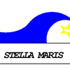 Logo of the association Association sportive Collège Stella-Maris Anglet