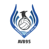 Logo of the association Avb95