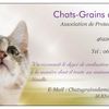 Logo of the association chats grains d'amour