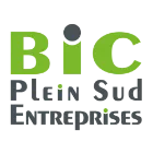 Logo de l'association ASSO PLEIN SUD ENTREPRISES
