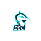 Logo de l'association BASKET ECOUFLANT CLUB