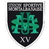 Logo of the association UNION SPORTIVE MONTALBANAISE