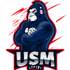 Logo of the association USM Esport