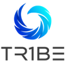 Logo of the association TR1BE OCR TEAM