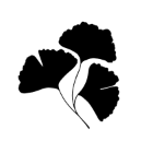 Logo de l'association Association Dryades