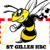 Logo of the association SAINT GILLES HANDBALL CLUB