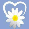 Logo of the association Marguerittes notre ville