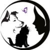 Logo of the association Association Océan de bonheur