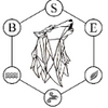 Logo of the association Association Master BSE Reims