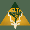 Logo of the association Delta ESSEC