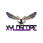 Logo de l'association Xyloscope