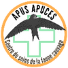 Logo of the association Apus Apuces