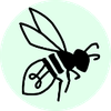 Logo of the association ASSOCIATION FMR