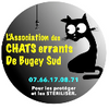 Logo of the association Les chats errants de Bugey Sud