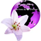 Logo de l'association LE LYS DES VALLEES