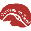Logo of the association Cerveau en Seine