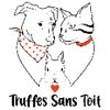 Logo of the association Truffes Sans Toit