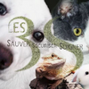 Logo of the association Les 3S sauver securiser soigner