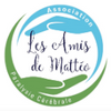 Logo of the association Les Amis de Mattéo