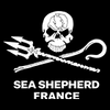 Logo of the association SEA SHEPHERD FRANCE