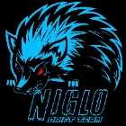 Logo de l'association NIGLO DRIFT TEAM