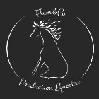 Logo de l'association Flam et Co Production Equestre