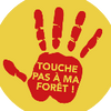 Logo of the association A fondS pour la forêt pyrénéenne
