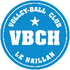 Logo of the association VBCH