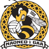 Logo of the association Nantes Football Gaélique (Naoned GAA)