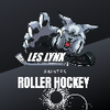 Logo of the association saintes roller hockey club