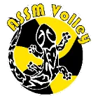 Logo de l'association ASSM VOLLEY
