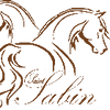 Logo of the association LES CHEVAUX DE SAINT SABIN
