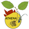 Logo of the association ATHENA : Association pour les Terroirs les Hommes Et la NAture