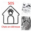 Logo of the association sos chats en detresse