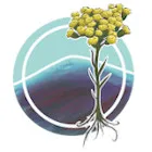 Logo de l'association Helichryse