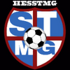 Logo of the association Hesstmg Football Club