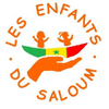 Logo of the association Les enfants du Saloum