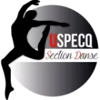 Logo de l'association UNION SPORTIVE DU PECQ