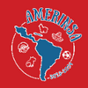 Logo of the association Amerinsa