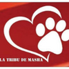 Logo of the association Association la tribu de Masha