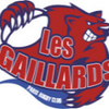 Logo of the association Les Gaillards Paris Rugby Club