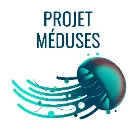 Logo de l'association Association Projet Méduses